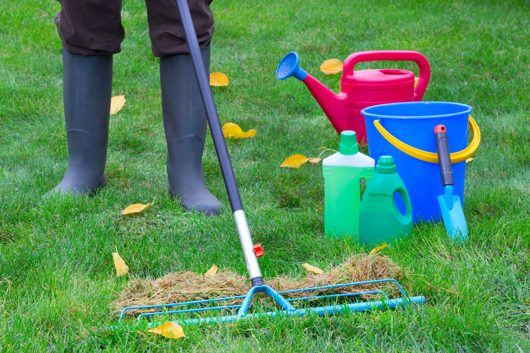 Top 5 Tips for Lawn Care in Fall | Central Services Co. Inc.