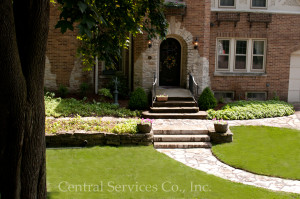 Landscape Renovation