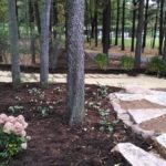 lawn landscape with trees and flowers