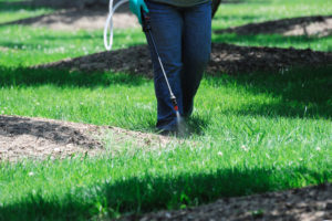 landscaper spraying pesticide in the lawn to control pests