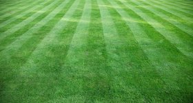 Freshly cut lawn stripes
