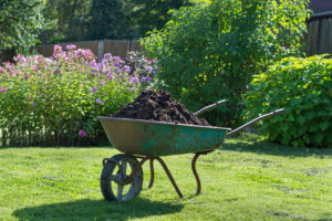 Wheelbarrow with compost fertilizer in lawn - Central Services of Wisconsin