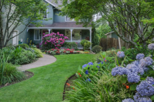 home landscaped with rose and blue hydrangeas
