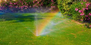 rainbow from lawn being watered by automatic sprinkler