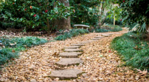 stone path in garden surrounded by smaller stones